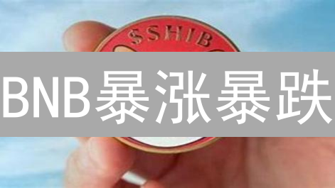 BNB暴涨暴跌？深度解析影响币安币价的七大关键因素！