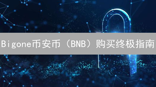 Bigone币安币（BNB）购买终极指南：安全存储全攻略！