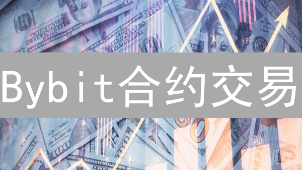 Bybit合约交易：详解强平价格计算，防爆仓必备！