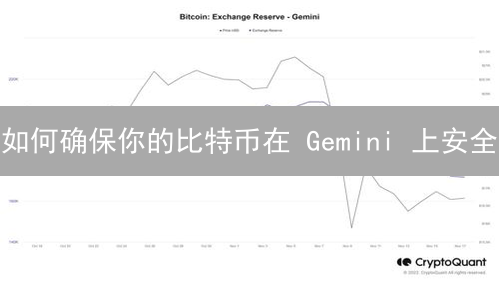 如何确保你的比特币在 Gemini 上安全？终极指南！