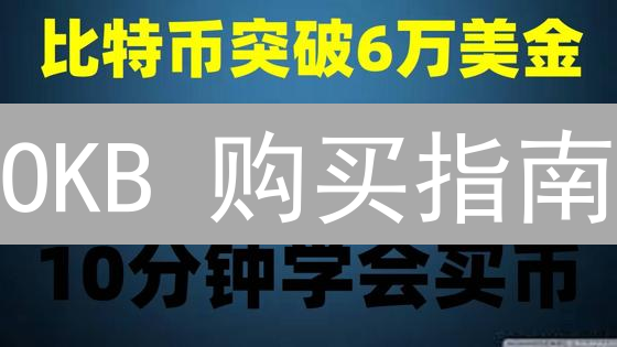 OKB 购买指南：新手也能轻松掌握！（2024最新）