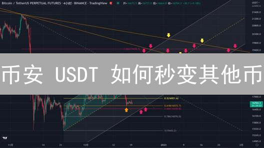 币安 USDT 如何秒变其他币？3 分钟掌握转换技巧！